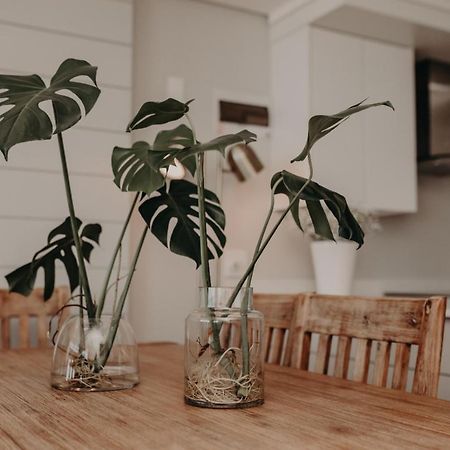 View @ The Bay Apartments 9 موسيلباي المظهر الخارجي الصورة